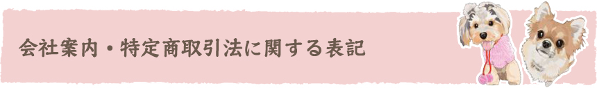会社案内・特定商取引法に関する表記