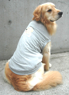ワンちゃん用Tシャツ