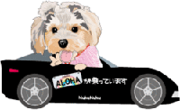 ALOHAママ2