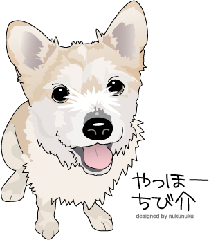 ベリエ1