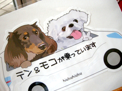 モコ&テン1