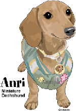 プティ2